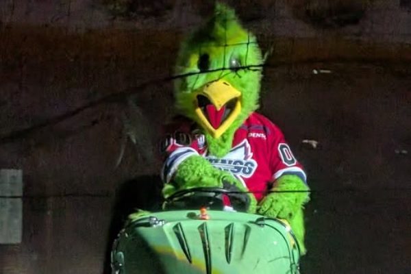 Picture of Slappy - Kalamazoo Wings mascot